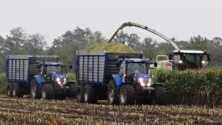 Harvesting Mais In The Mud  Claas Jaguar  New Holland  Modderen  Berkhof [upl. by Nonnek]