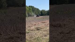 Gleaner g picking soybeans [upl. by Mickelson]