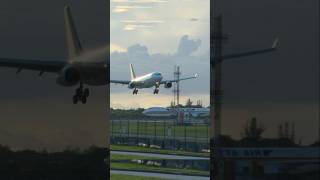 A330 Butter Landing aviation [upl. by Wehhtam802]