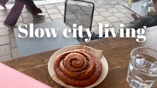 Simple city pleasures an introverts life in Oslo Norway with his dog  Silent vlog [upl. by Slosberg]