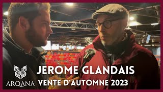 Vente d’Automne ARQANA  120 000€ pour une Doctor Dino Jerome Glandais vous dit tout [upl. by Lowenstein]