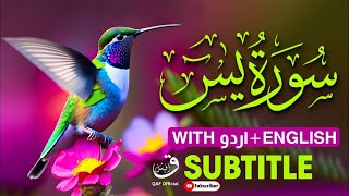 Surah Yasin  Surah Yaseen full  سورۃ یس  Surah Yasin full  with Urdu amp English translation [upl. by Ode]