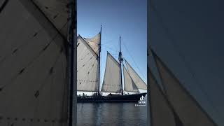 The Beautiful Bluenose II Schooner [upl. by Honna]