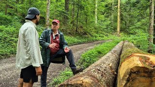 La futaie irrégulière  Balade en forêt avec ClaudeAndré Montandon [upl. by Ellocin]