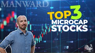 Best Microcap Stocks To Invest In Today 1 Microcap Stock Revealed [upl. by Primavera]