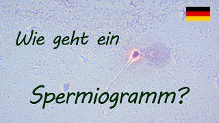 Wie geht ein Spermiogramm  Urologe Göttingen [upl. by Broeder339]