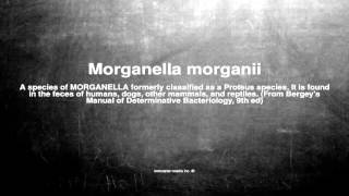 Medical vocabulary What does Morganella morganii mean [upl. by Anner549]