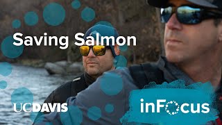 Will Dam Removal Save Salmon on the Klamath River [upl. by Jem670]