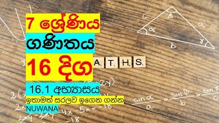 grade 7 maths16 1 අභ්‍යාසය 16 දිග nuwana [upl. by Airual]