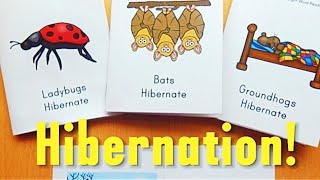 Understanding Hibernation How Animals Survive the Winter [upl. by Eleen]