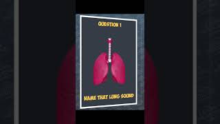 Name that lung sound medicaleducation respiratorymedicine lungsounds auscultation medical quiz [upl. by Grishilde579]