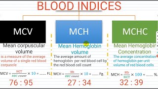 hematology hematocrit  MCV  MCH  MCHC  blood count  White blood cell differential [upl. by Kamaria978]