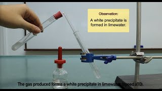 Reaction of Acid and Carbonate  test for carbon dioxide gas [upl. by Eloci]