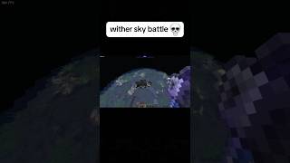 Minecraft Wither Moment [upl. by Erbua]