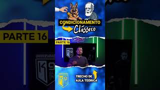 CONDICIONAMENTO CLÁSSICO  PARTE 16 [upl. by Nodnelg408]