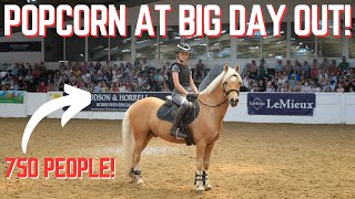 HARLOW AND POPCORN AT PONY MAG BIG DAY OUT [upl. by Am]