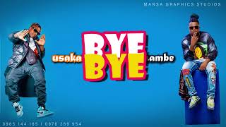 Bye Bye  Willz amp T Sean lyrics video1080p HD [upl. by Nnyladnarb408]