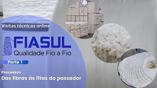 Visita técnica online  FIASUL  PARTE 1 [upl. by Rebmetpes]