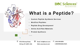 What is a Peptide  Peptides  Amino Acids  Peptide Synthesis  BOC Sciences [upl. by Nerred]