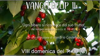 14 Vangeloclip  8° Domenica del Tempo Ordinario  Anno C  27 Febbraio 2022 [upl. by Rapsac]