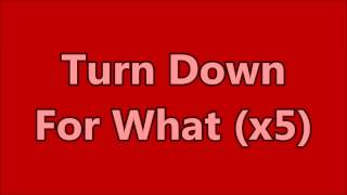 Turn Down For What ft Pitbull amp Ludacris Explicit LYRIC V [upl. by Tedi]