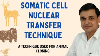 Somatic Cell Nuclear Transfer Technique of animal cloning  SCNT [upl. by Schwinn896]