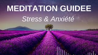 Méditation Guidée  Une Nouvelle Perspective  Méditation pour Anxiété Stress états dépressifs [upl. by Sharman881]