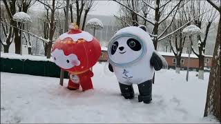 Shuey Rhon Rhon amp Bing Dwen Dwen dancing in the snow  Beijing 2022 Winter Olympics  北京冬奥会 雪容融 冰墩墩 [upl. by Jennica]