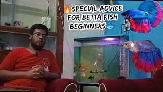 SPECIAL ADVICE FOR BETTA FISH BEGINNERS✨ [upl. by Budwig]