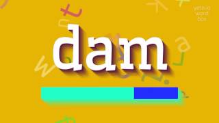 DAM  How to pronounce it [upl. by Ramso]