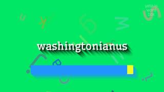 How to say quotwashingtonianusquot High Quality Voices [upl. by Hump]