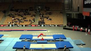 PRAEST Daniel DEN  2015 Trampoline Worlds  Qualification TR Routine 2 [upl. by Kerstin]