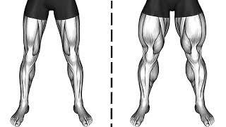 How To Get A Massive Legs At Home [upl. by Holcman]