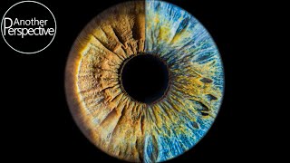 Eye Photography  How to take a sharp Image of your Iris [upl. by Nniw]