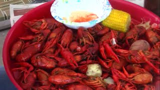 How To Boil Crawfish The Chef Bourque Way [upl. by Theo]