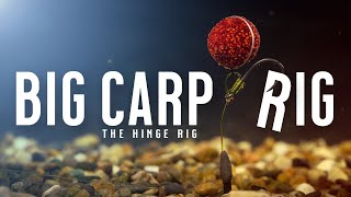 BIG CARP RIG Carp Fishing Rigs Made Easy  Tie THE HINGE RIG PopUp Rig Like A PRO Mainline Baits [upl. by Seppala]