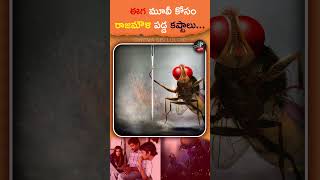 Rajamouli Struggles For Eega Movie  Nani  Samantha Ruth Prabhu  Kichassudeep tollywood [upl. by Yesoj441]