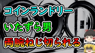 コインランドリーで洗濯物に悪質なイタズラをするDQN！その後、体を固定され両腕を・・・【ゆっくり解説】 [upl. by Frymire]