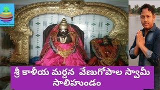 sri kaliya mardana venugopala swamy temple salihundam HD [upl. by Irodim]