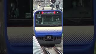 武蔵小杉駅を出発していく横須賀線下りE235系 [upl. by Socram]