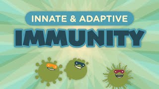 Innate amp Adaptive Immunity [upl. by Nedroj]