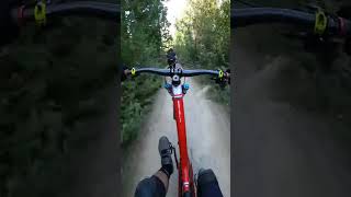 A line mtb whistler fav flow jump manual wheelie fypシ fy foryoupage sendit [upl. by Cyn]