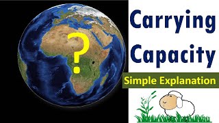 Carrying Capacity Hindi हिंदी में  Essential Concept of Sustainability [upl. by Rubetta]