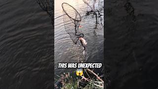 Thought wed lost it butfishing angler fails unexpected shorts fishingvideo [upl. by Ahselyt589]