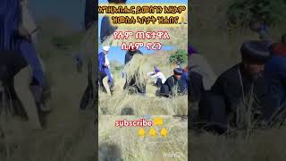 የሉም ጠፈተዋል ሲሉ ኖረን duet abelbirhanuየወይኗልጅ habesha ethioforumኢትዮፎረም amharic yetbitubeየተንቢ [upl. by Nylorak]