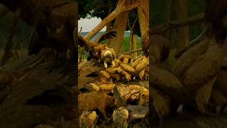 Group Of Animals 🐅🦊🐆 Eating Elephant 🐘।। nature trending shorts viral naturegallery [upl. by Silloc]