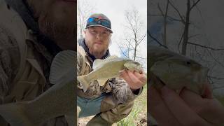 October Creek Fishing fishing fishingvideo outdoors creek bassfishing youtubeshorts shorts [upl. by Rebm455]