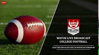 UAlbany vs Cornell Live Stream  College Fotball 2024 [upl. by Karia]