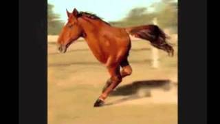 2 legs horse retard original retarded song chacarron macarron comando tiburon [upl. by Henleigh773]