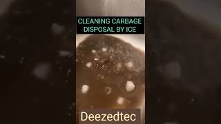 how to clean CARBAGE DISPOSAL [upl. by Porty]